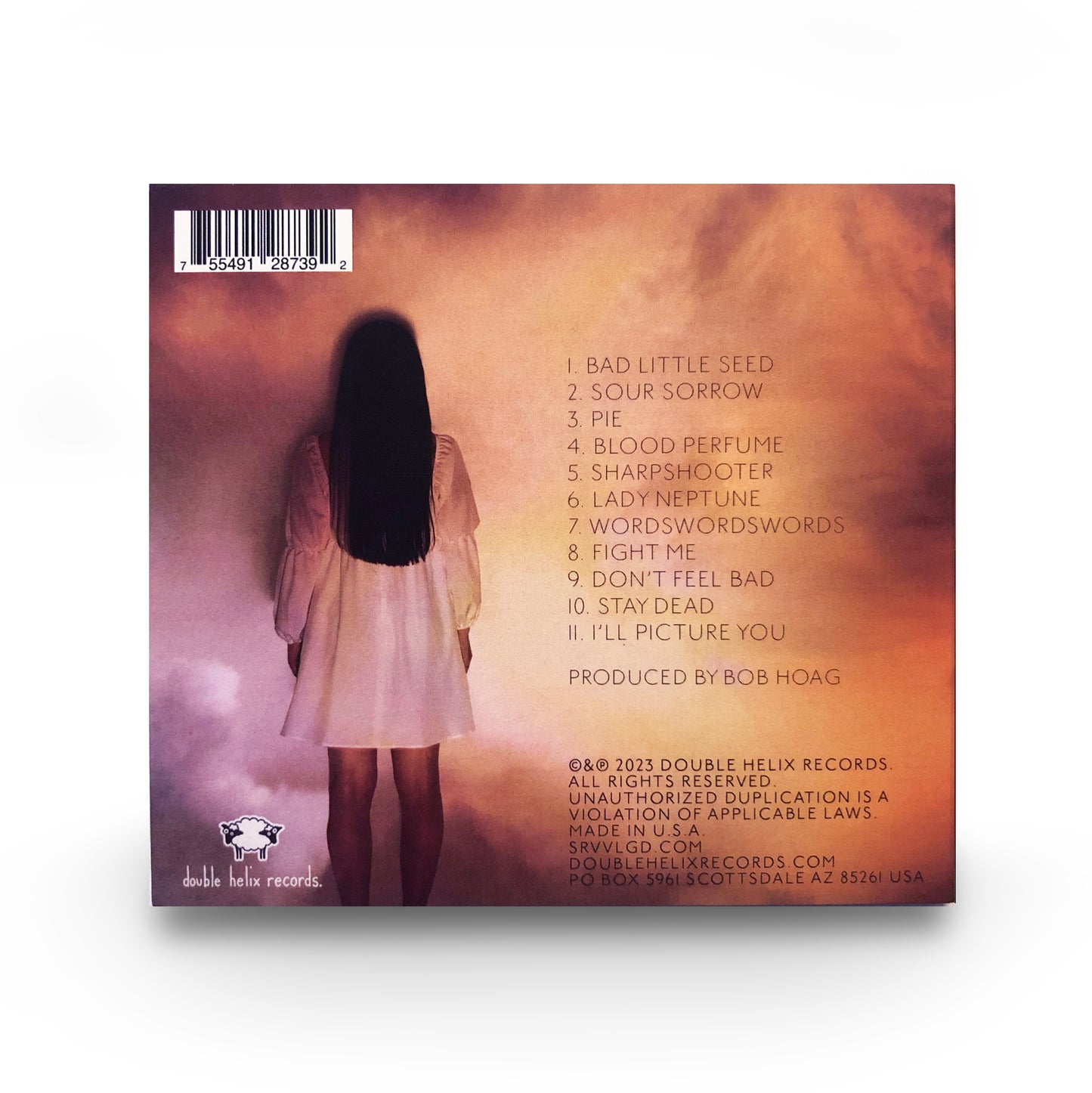 Survival Guide: deathdreams CD