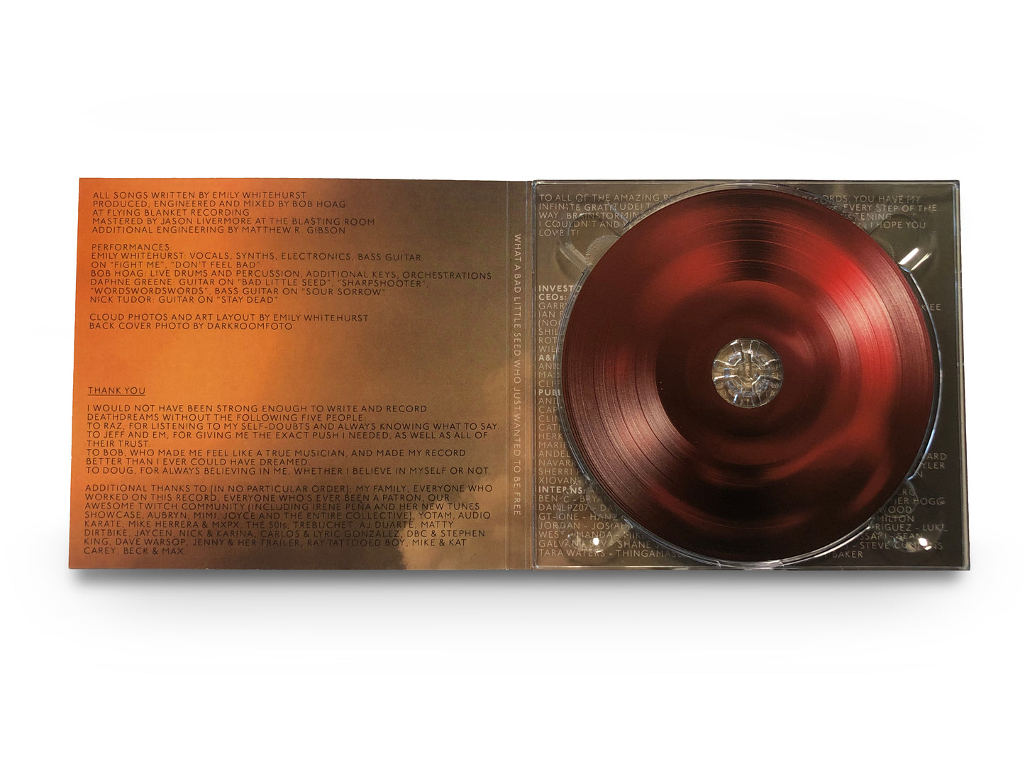 Survival Guide: deathdreams CD